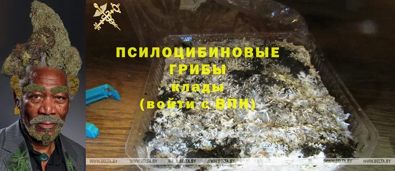 Галлюциногенные грибы Magic Shrooms  mega ТОР  Кириллов 